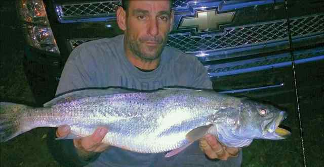 Douglas Mauch Morris &amp; Cummings Cut30&quot; speckled trout, caught on a DOA
