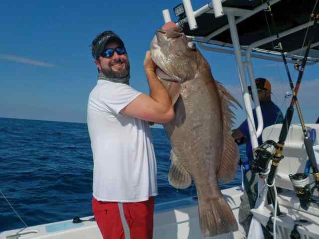 Jeff Pinsky warsaw grouper