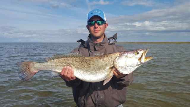 Brandon Smith 31&quot; 10 lb trout, caught on a pumpkin seed and chartreuse assassin with a hookspit rod and lews combo