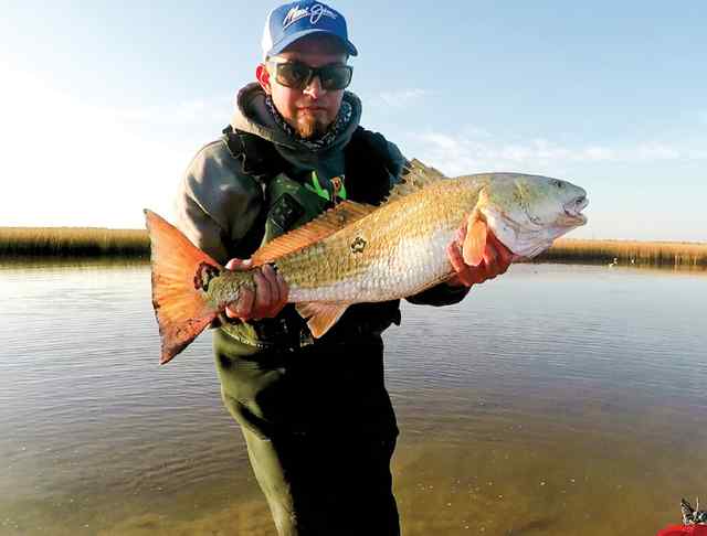Brandon Perez Freeport - bull redfish CPR