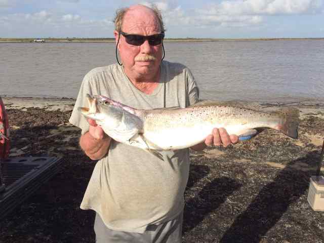 Tom Wilson Sargent cut - personal best trout!