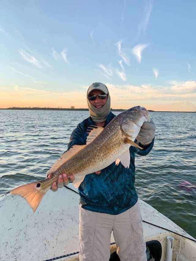 Jerry Jones Chocolate Bayou - 27" redfish