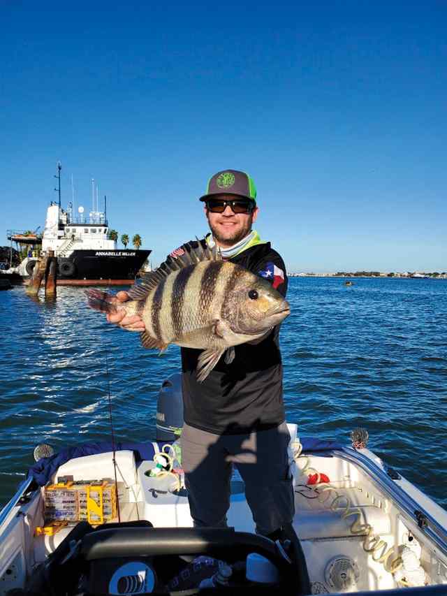 Joseph Hagar Galveston ship channel - 23" sheepshead, caught on live shrimp
