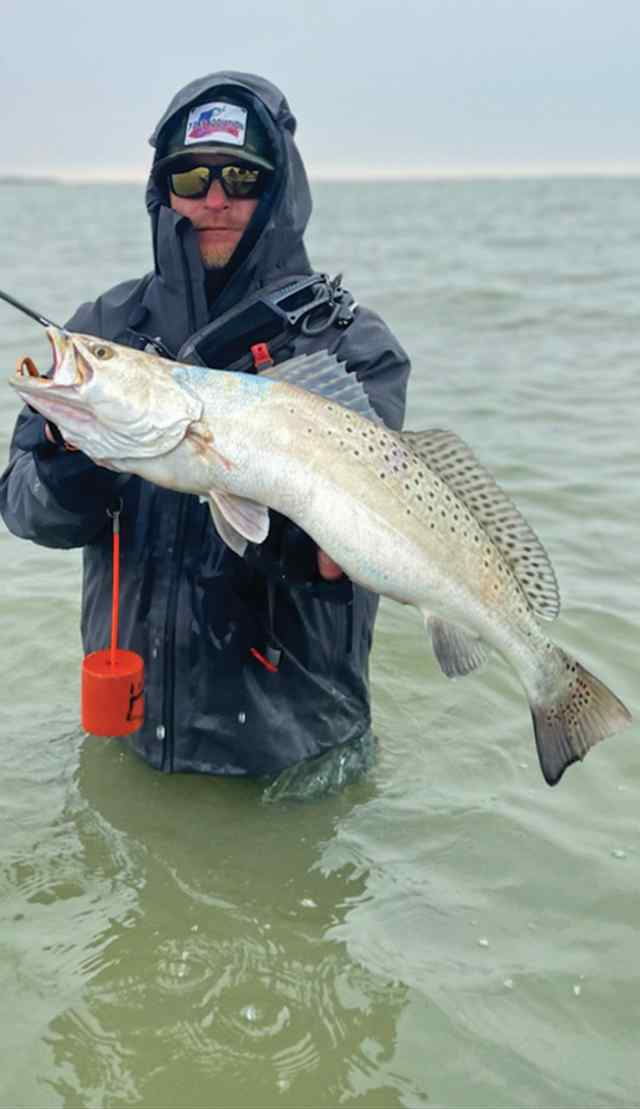 Rough Vine Baffin Bay - 31.8" trout, caught on a Coastal Marsh Soft done Blowpop color scheme