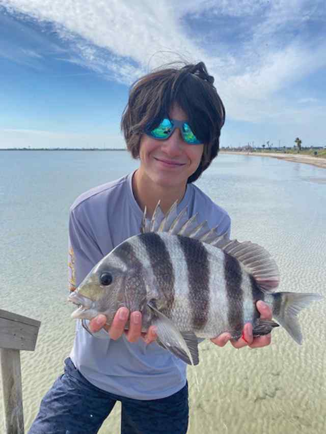 Andrew Ibarra Rockport - 17" sheepshead