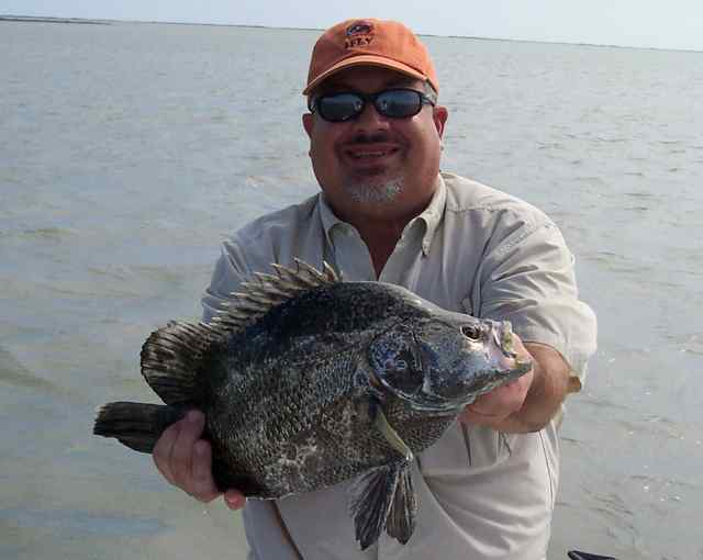 Jim Collins Rockporttripletail "on the fly"