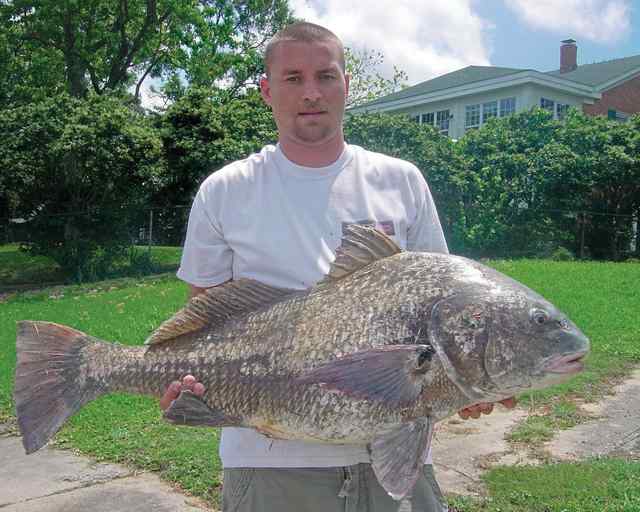 Joe Dougherty Terrace Pier41” drum CPR