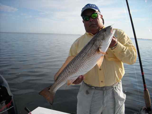 Sonny Trujillo 27.5" redfish CPR