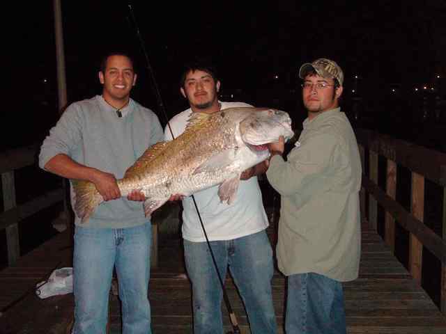 Eli Martinez & friends Landed this drum after a 30 minute fight.