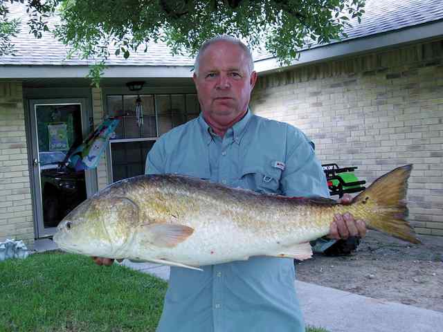 Roy Dougherty Texas City Dikesfirst bull red!