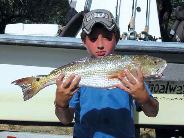 Christopher Herrera Baffinredfish