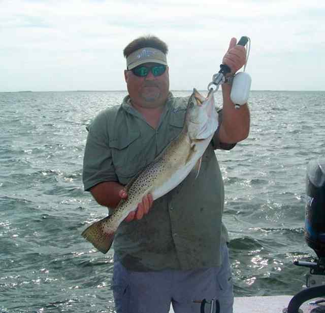 Darrin Toney Caught and released this 29.5&quot; 8.5 lb trout on a Norton Sand Eel while fishing the King Ranch Shoreline