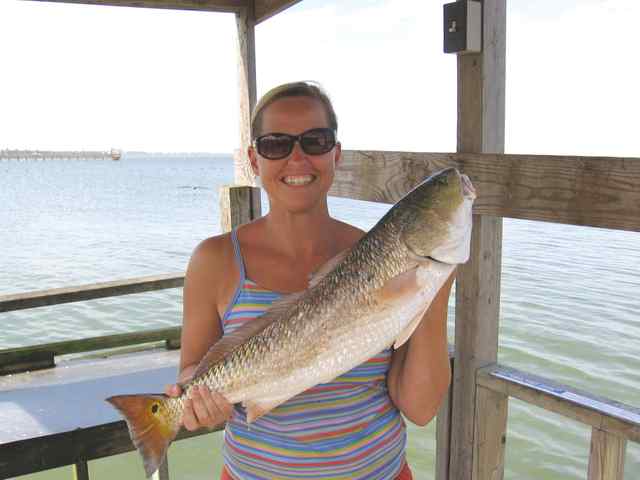 Kim Jefferies Mud Island31&quot; first keeper red!