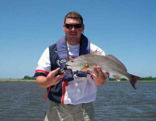 Phil Perry Redfish Cupredfish