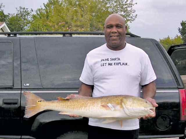 Ronnie Ramsey Port O'Connor40&quot; bull red