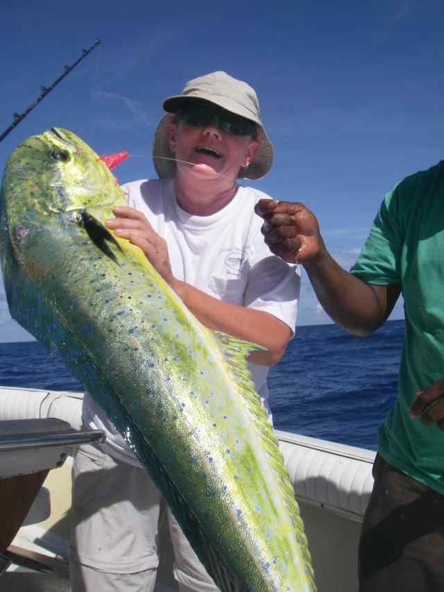 Stephanie May North Drop off Anegada  52&quot; dorado