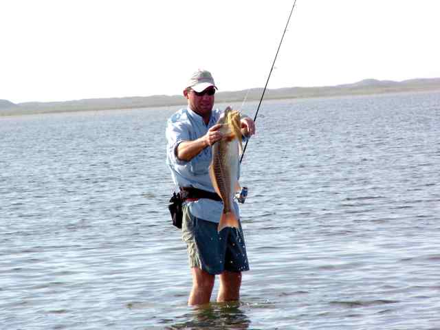 Cooper Cogdell Lower Laguna
  32&quot; tailing red CPR