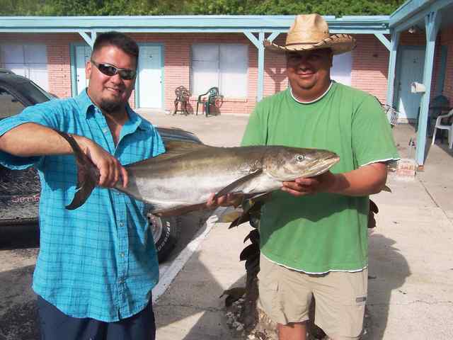 Robert & Thomas Perales Port Aransas - cobia