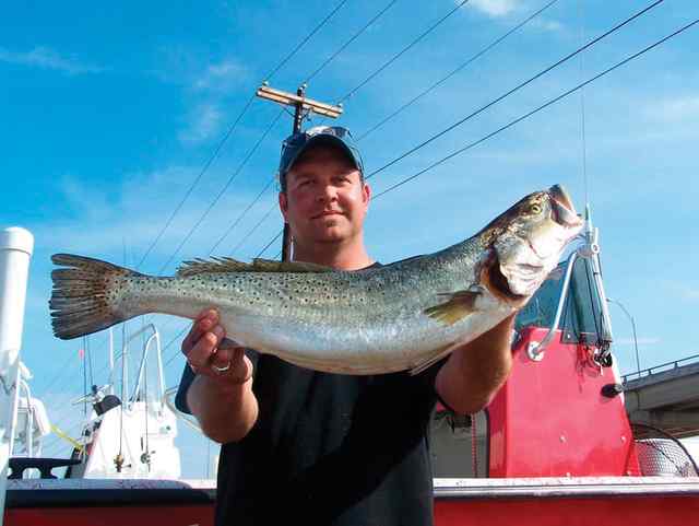 Tim Jarzombek Upper Laguna Madre30.25&quot; 9.29 lb trout