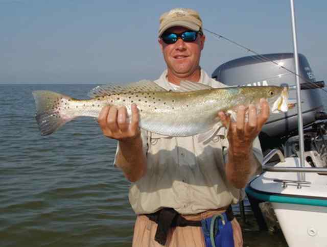 Andrew Shaffer Baffin26&quot; trout, caught on a plum chartreuse Bass Assassin