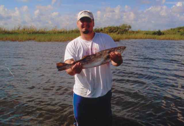 Damon McHenry Espiritu Santo Bay27.5&quot; trout on a Bass Assassin