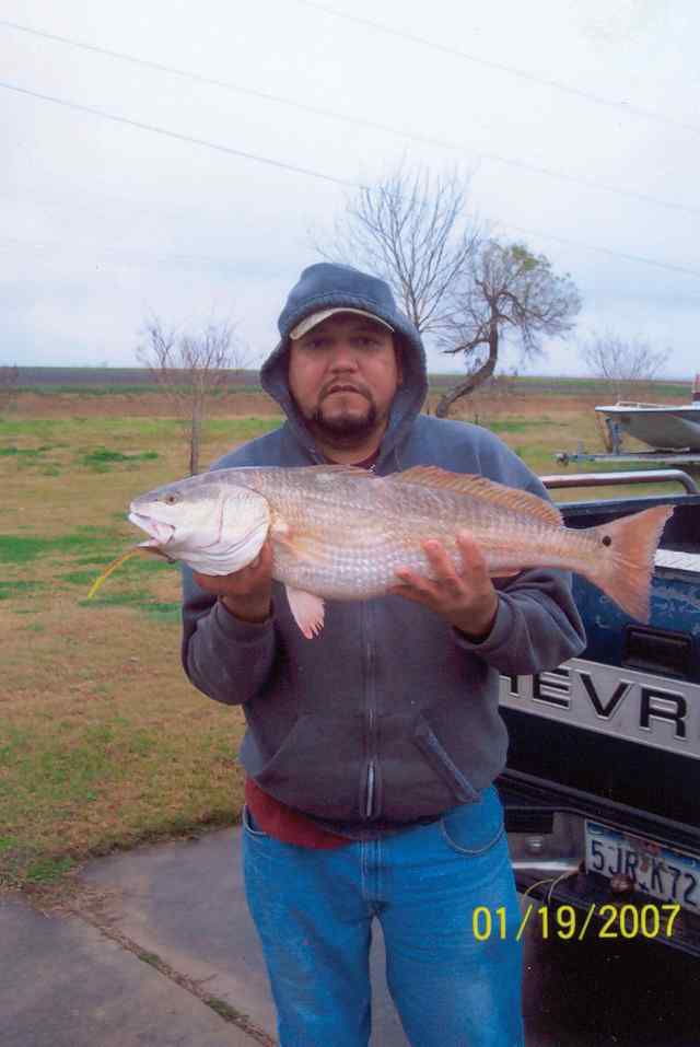 Phillip Garcia Old causeway in Port Lavacaredfish, landed on a pumpkin seed Norton sand eel