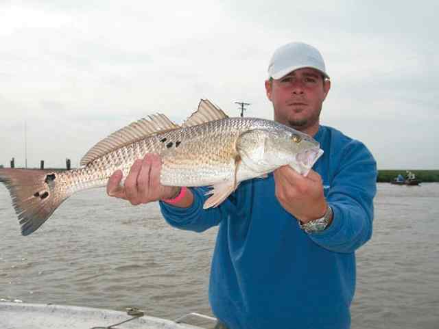 Rick Dixon Landed this red while fishing in Louisianna