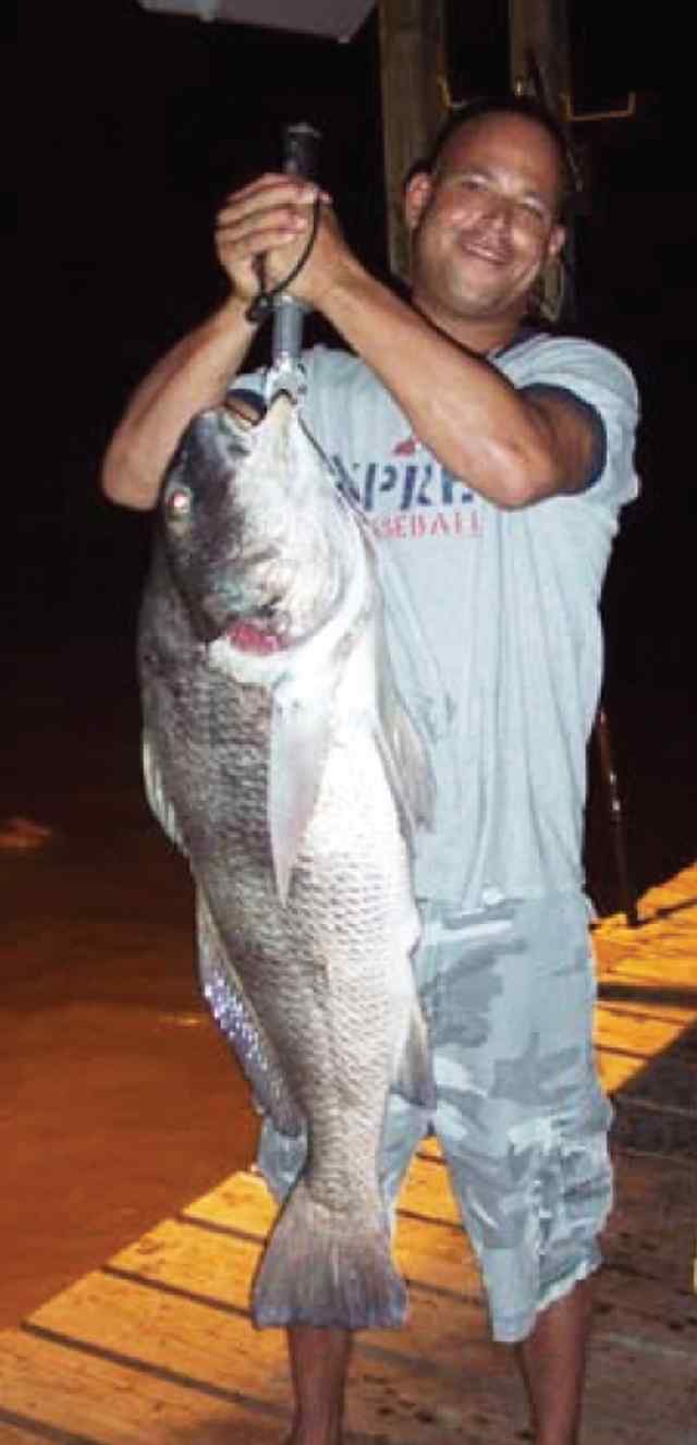 Robert Cunningham 
 
Bayside Terrace Civic Pier37&quot; black drum