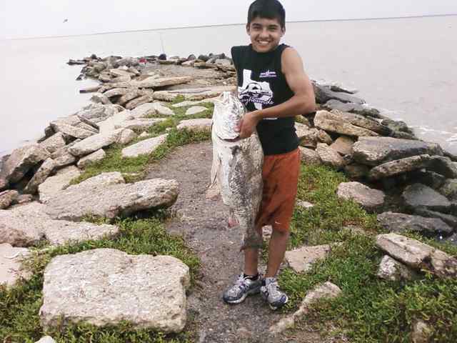 Jacob Hernandez 






37&quot; 42lb black drum