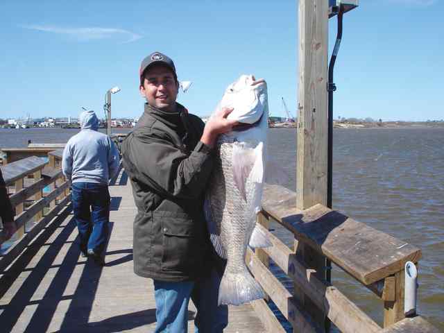 John Arevalo Pier fishing in Port Lavaca42&quot; drum CPR