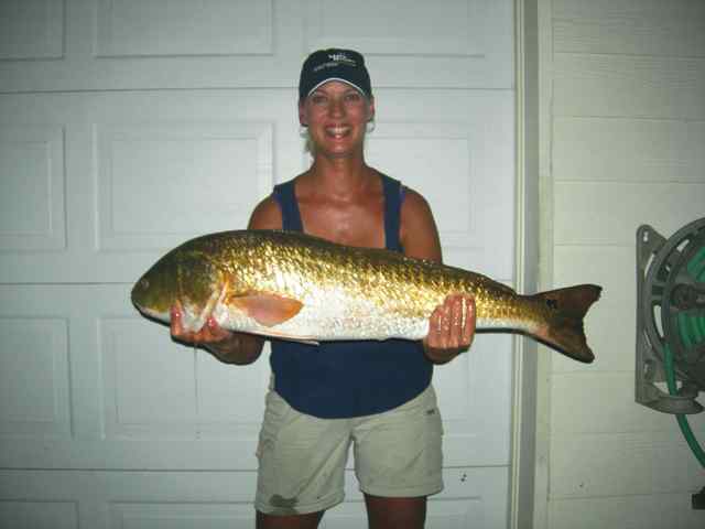 Laura Weikel 41&quot; first bull red, tagged!