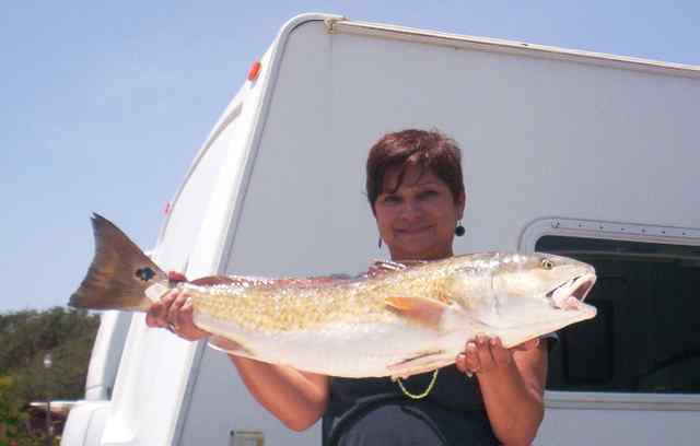 Lorraine Garcia Rockport
  34&quot; redfish