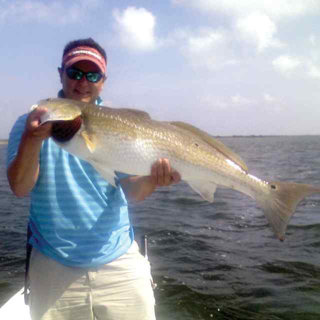 Nino Gonzalez Pita Island
  34&quot; red