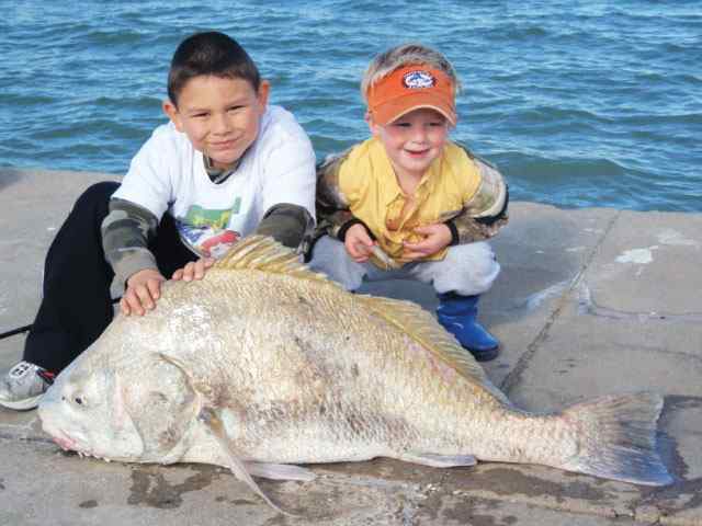 Dayne and Zachery Rangel Harbor Refuge
  drum