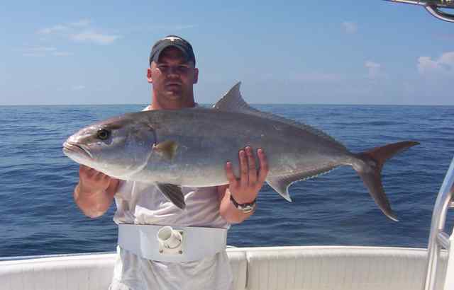 Donny Springfield Port O'Connoramberjack
