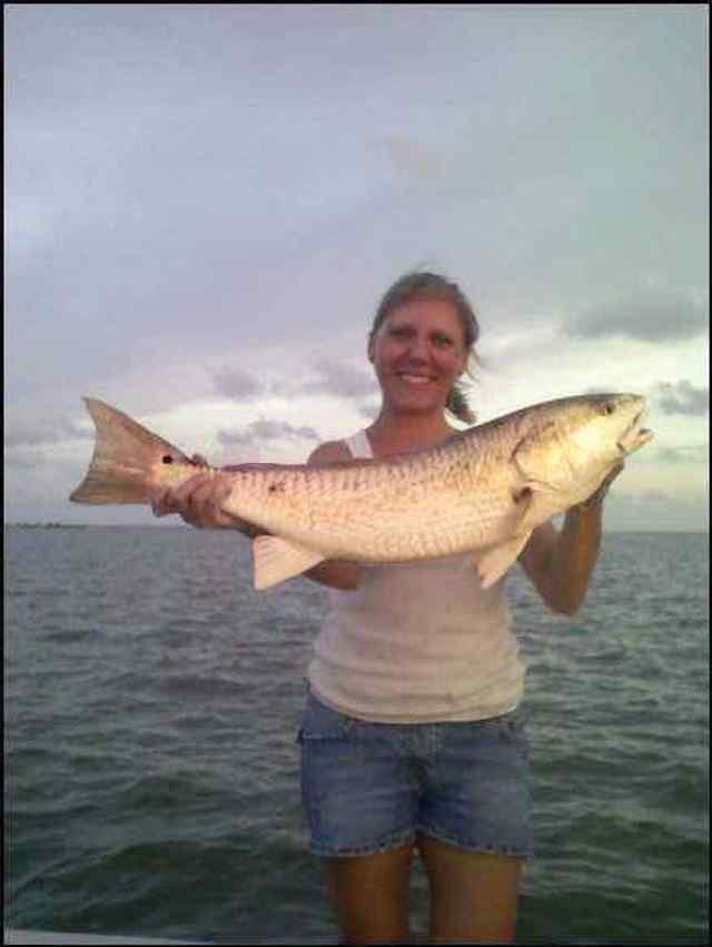 Jami Vickery Alamo Beach 32.5&quot; red