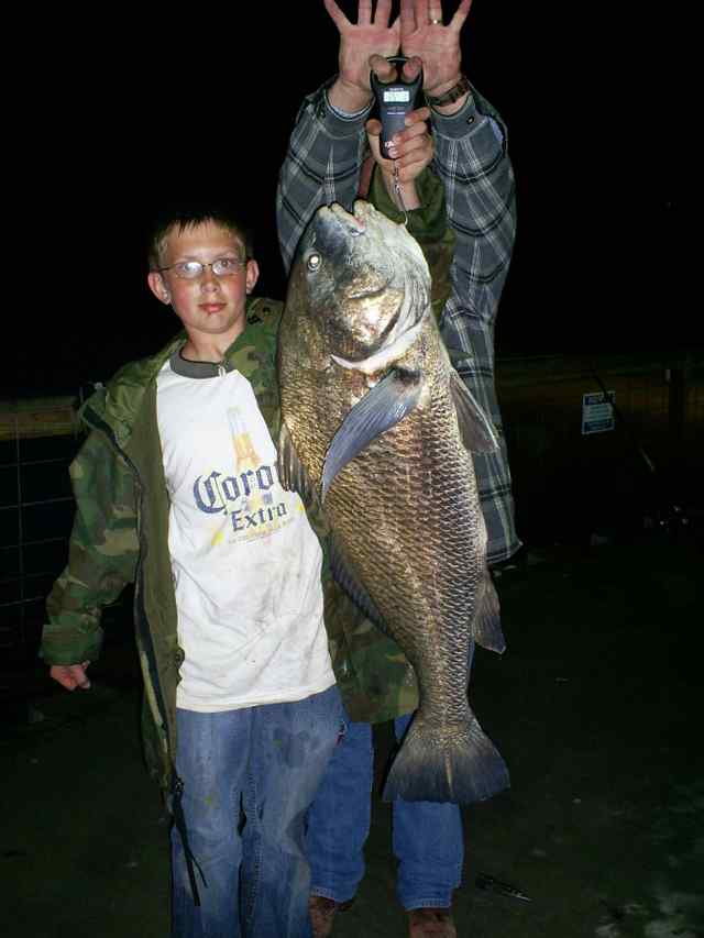 Kristopeher Law Indianola35lb black drum