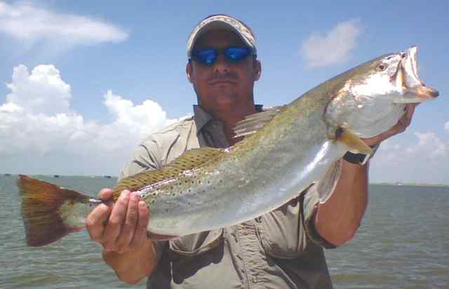 Brent Cofield Padre Island30&quot; trout