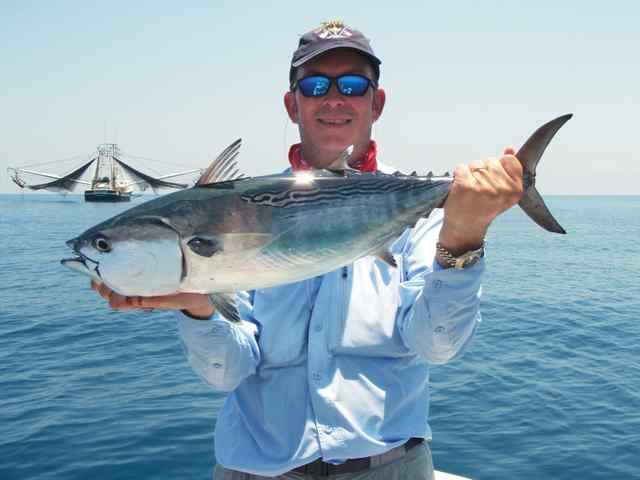 Dennet Wenske 10 lb bonito