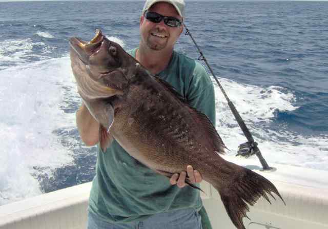 Odis Graham 
 38&quot; 26.37 lb grouper - new state record! Way to
go!