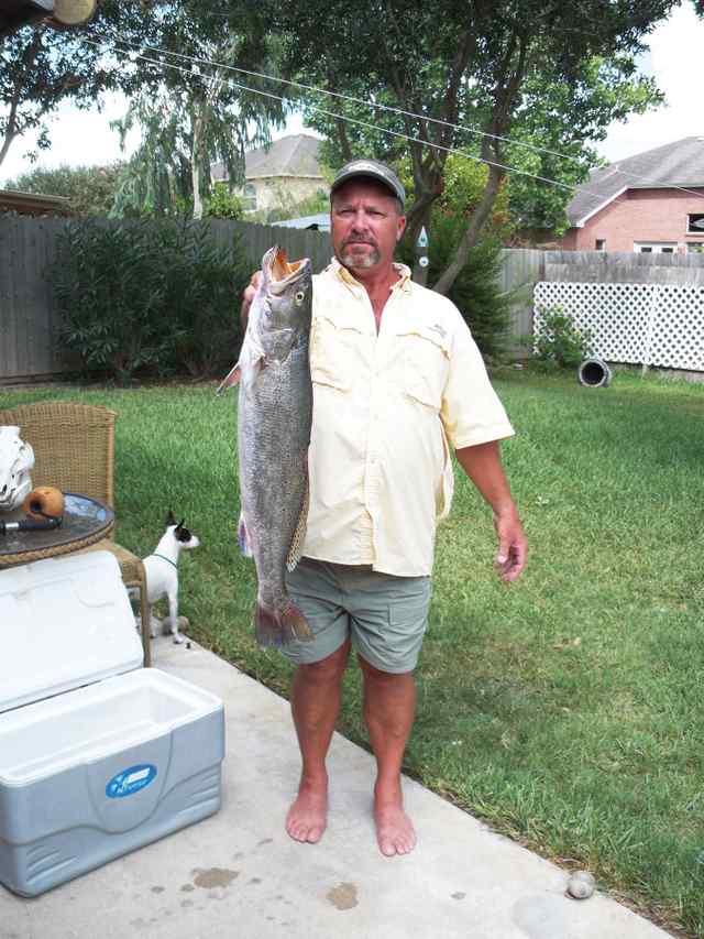 McCree Hennessee 
 Between Packery Channel and Bob Hall Pier 






31” 9lb trout