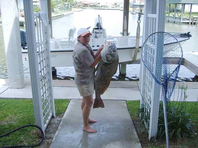 Kris Harless Omega Bay
  44&quot; 49.5lb bull red CPR