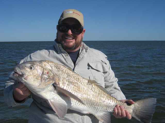 Randy Nicholson Lower Laguna Madre33" 18lb black drum