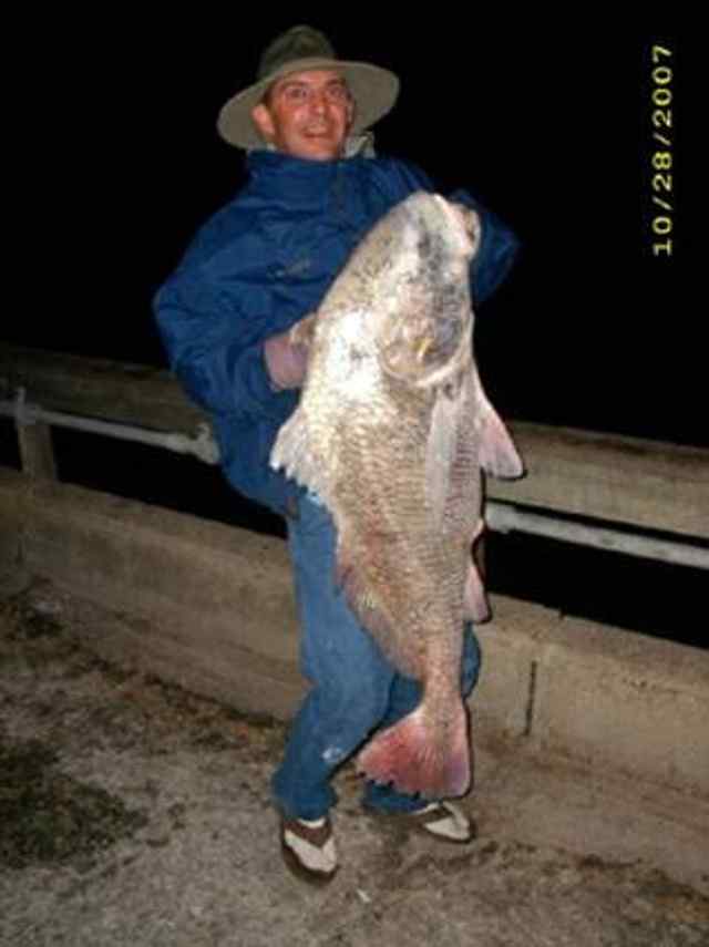 Bryan Taylor Rockport - black drum CPR