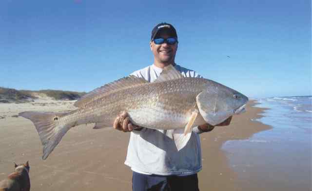Eric Oz Big Shell Beach - bull red CPR