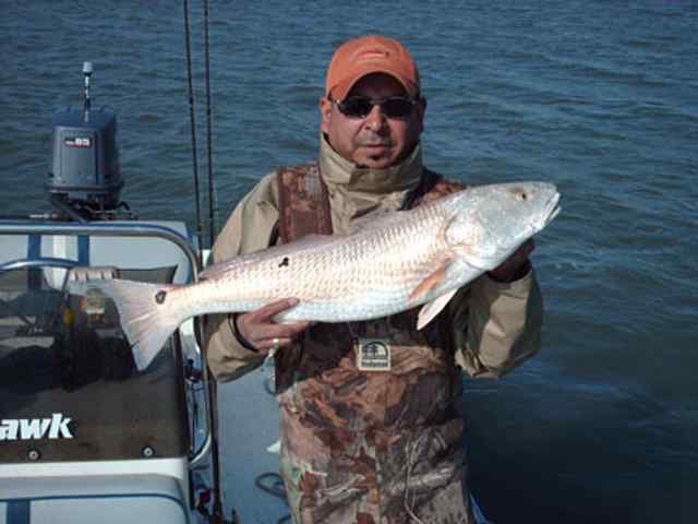 Mike Vasquez 30&quot; red CPR