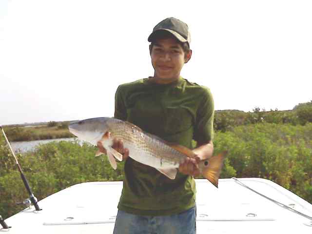 Mark Gonzales Rockport26&quot; redfish
