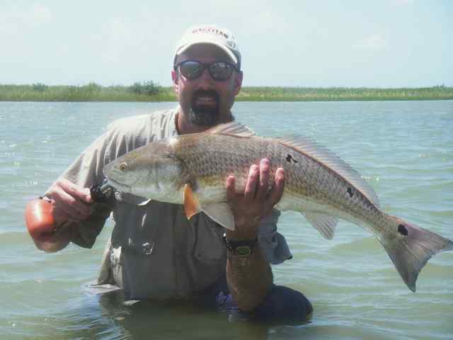 Eric Blankenship San Antonio Bay
  30&quot; 11 lb redfish