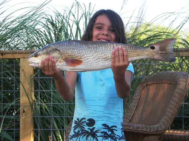 Madison Parr 






Baffin Bay



 






Even though it was her first time out on the
boat, she caught the biggest redfish (23”) in Brush Country’s CCA Kid Fish
2008.



