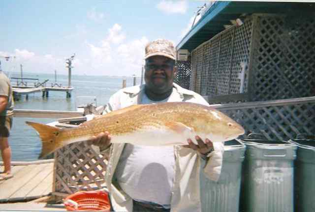 Marcus Stewart Upper Laguna  Flour Bluff42" redfish